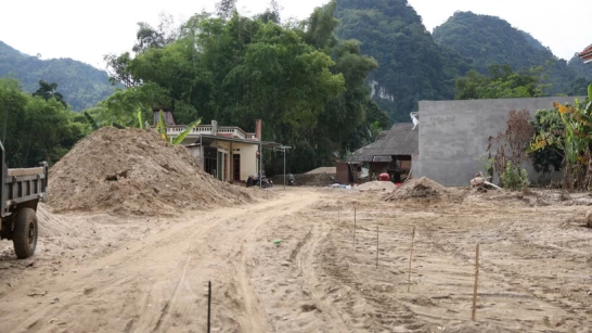 Cát vàng trên vườn, chum vàng dưới đất: Sao chủ nhà cứ mãi đứng nhìn?